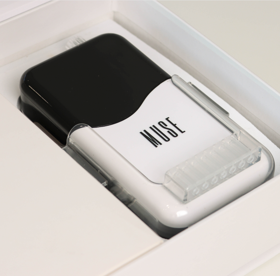 Become a MUSE EFile Educator: Teach, Earn & Grow with Us