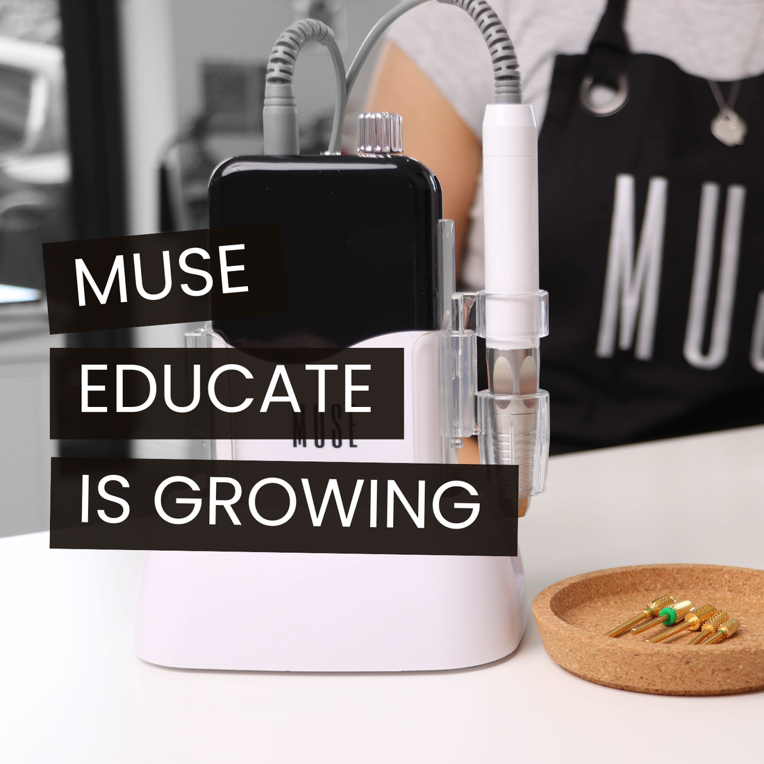 MUSE Educate has Grown: Welcoming Four New Educators