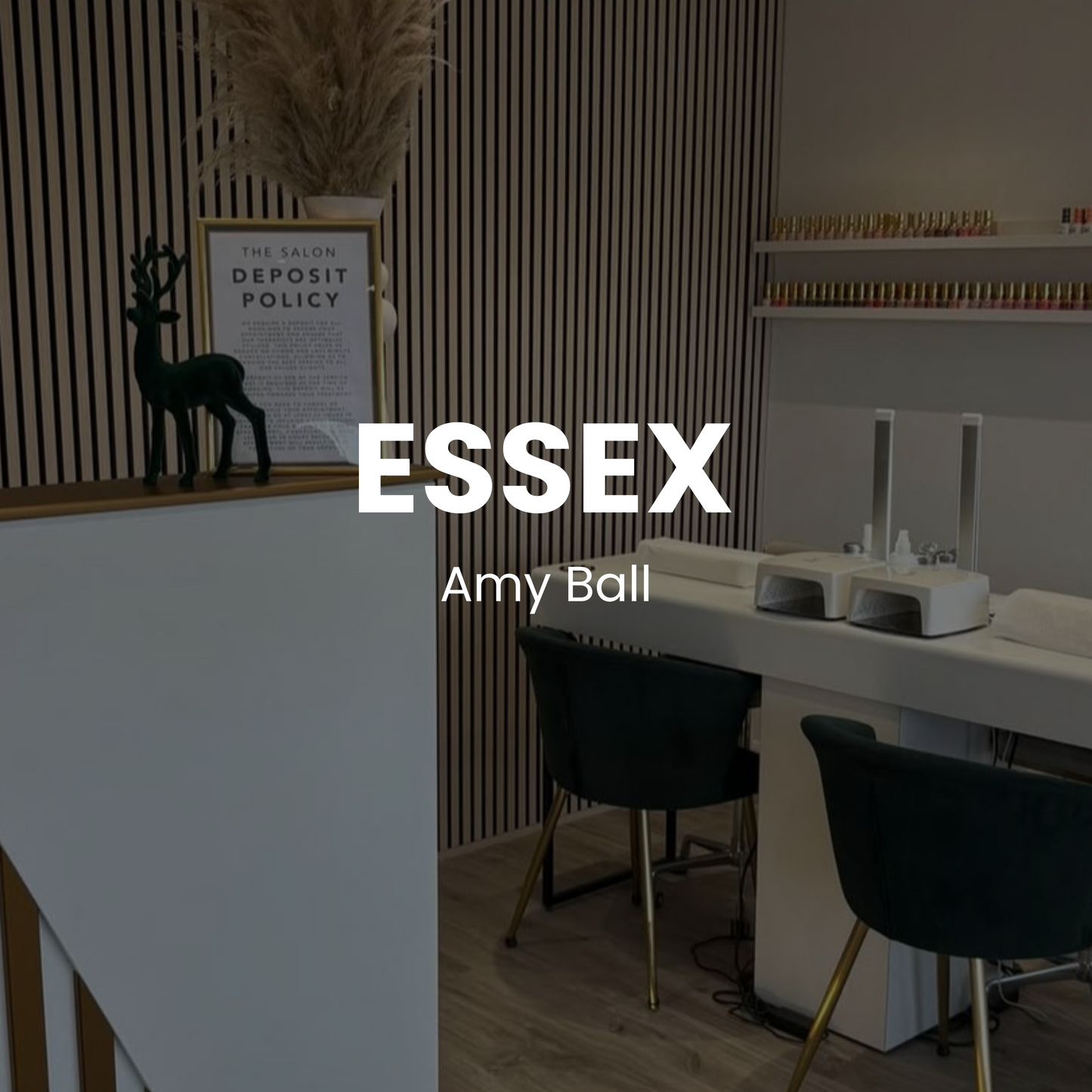 Essex - EFile Course